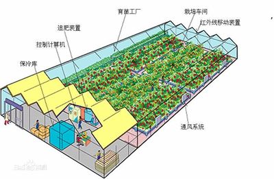 助力新型農業 北京歐倍爾3D設施農業生產系統（植物工廠）虛擬仿真實驗軟件應用探析